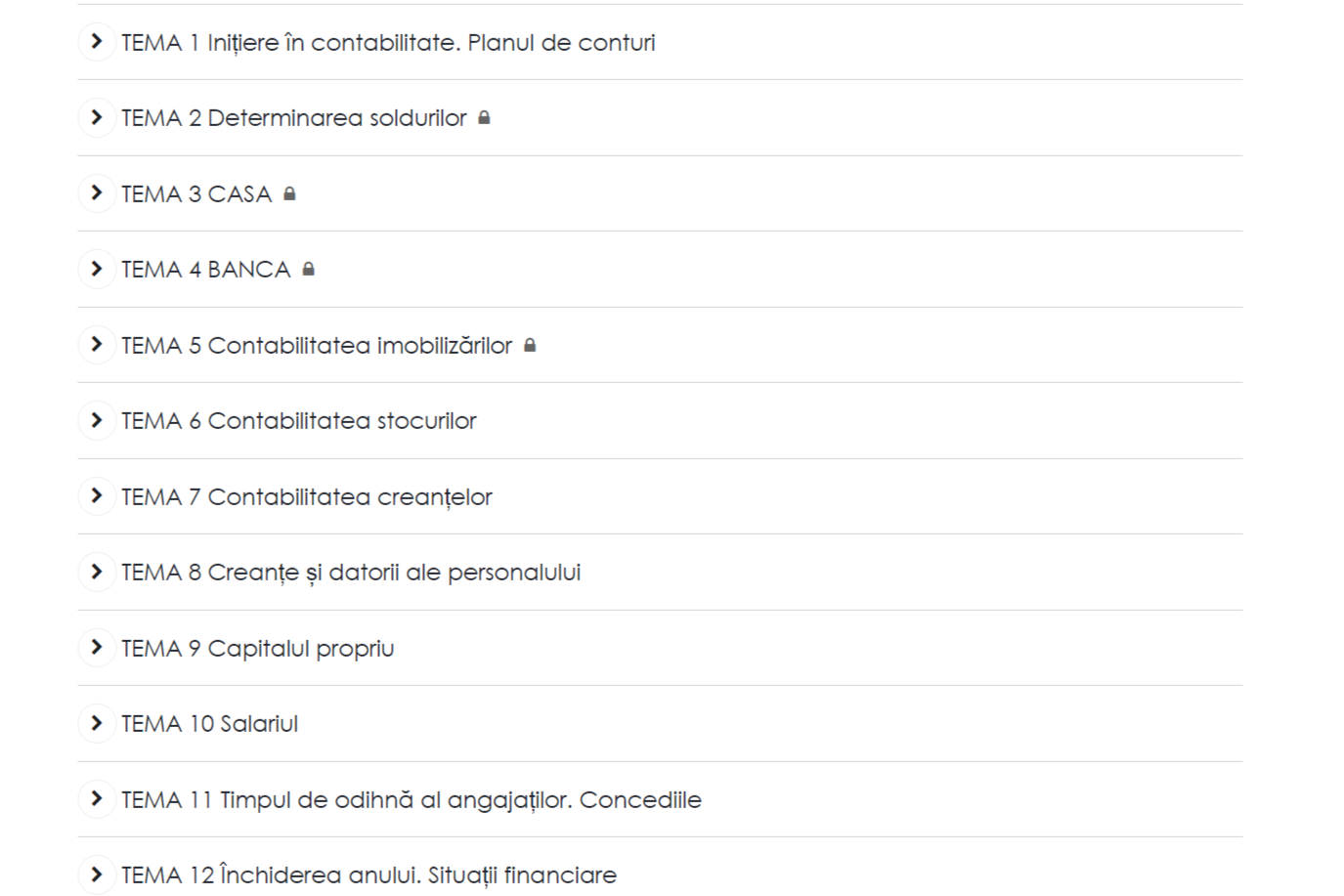 Acces complet la curs de contabilitate